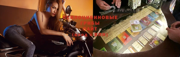 ALPHA PVP Киреевск